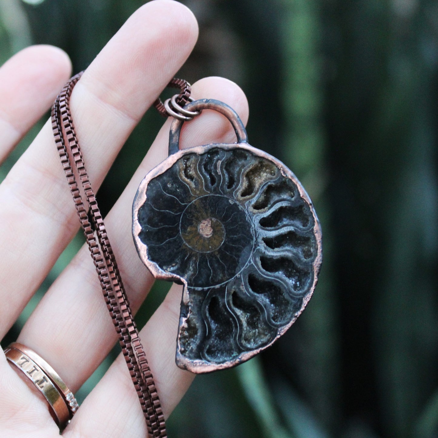 Ammonite Druzy