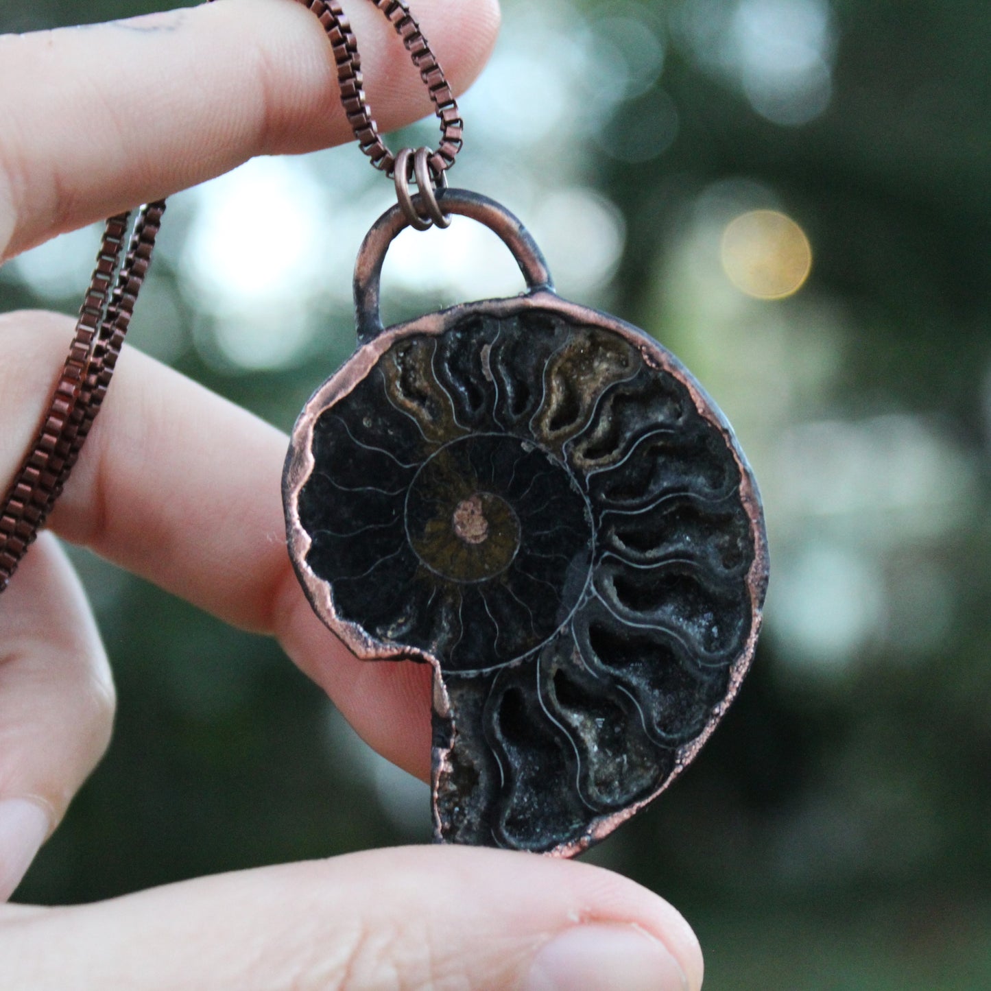 Ammonite Druzy