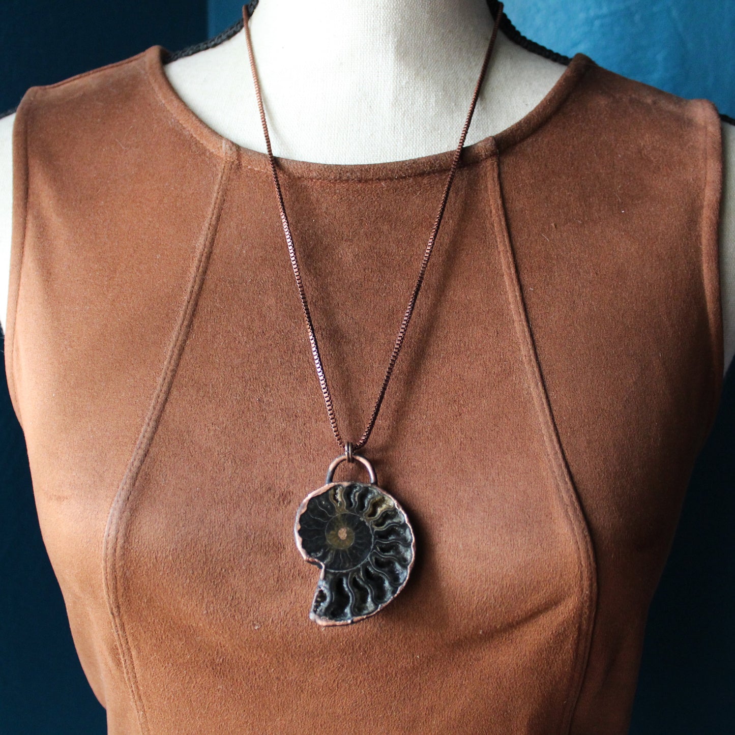 Ammonite Druzy