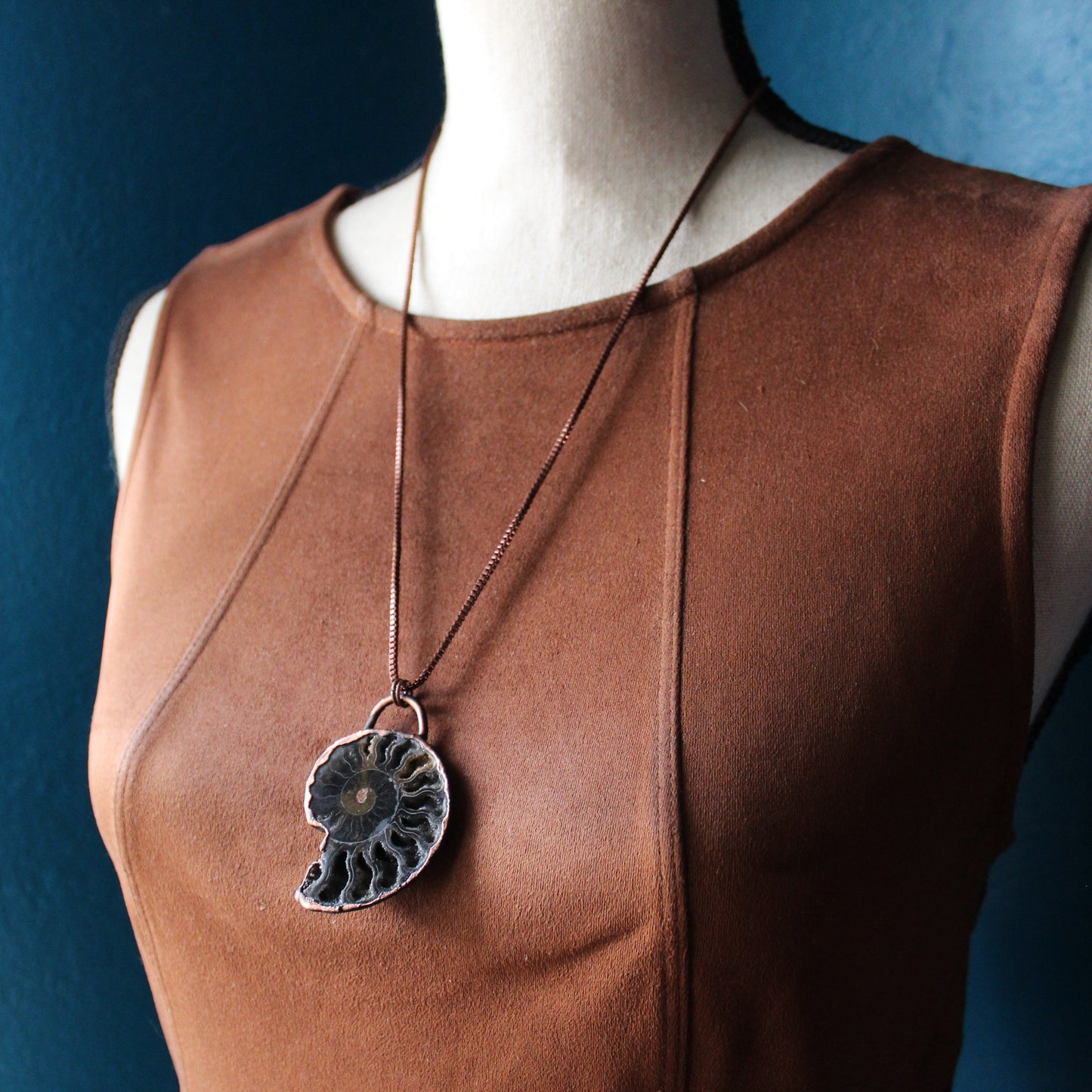 Ammonite Druzy