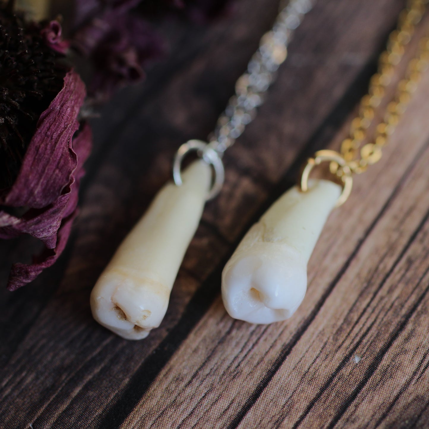 Human Teeth Necklaces