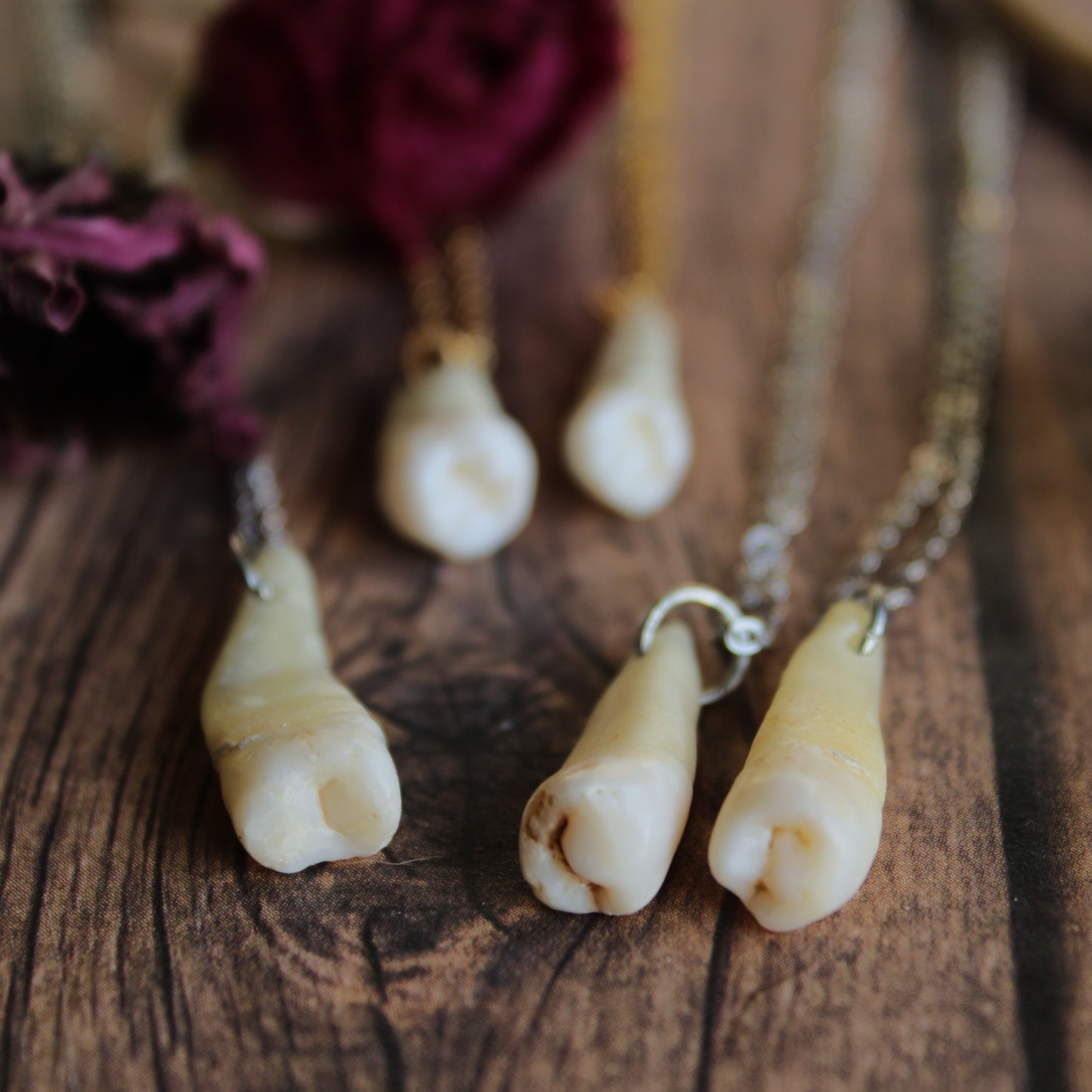 Human Teeth Necklaces