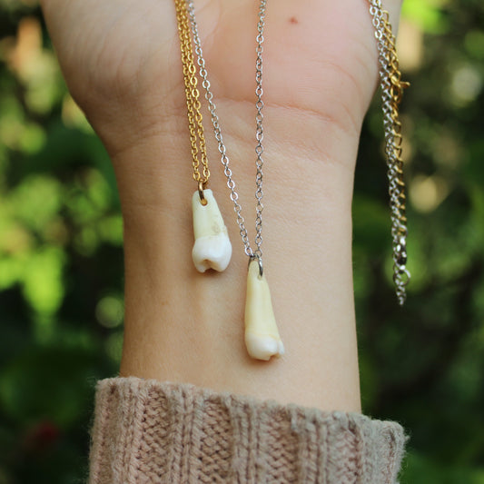 Human Teeth Necklaces