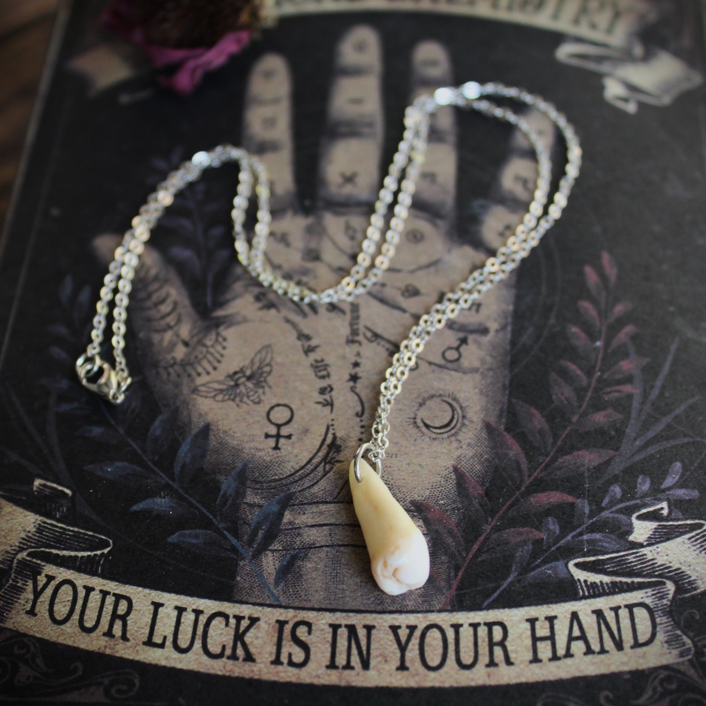 Human Teeth Necklaces