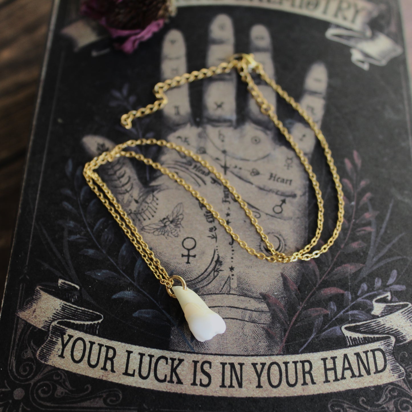 Human Teeth Necklaces