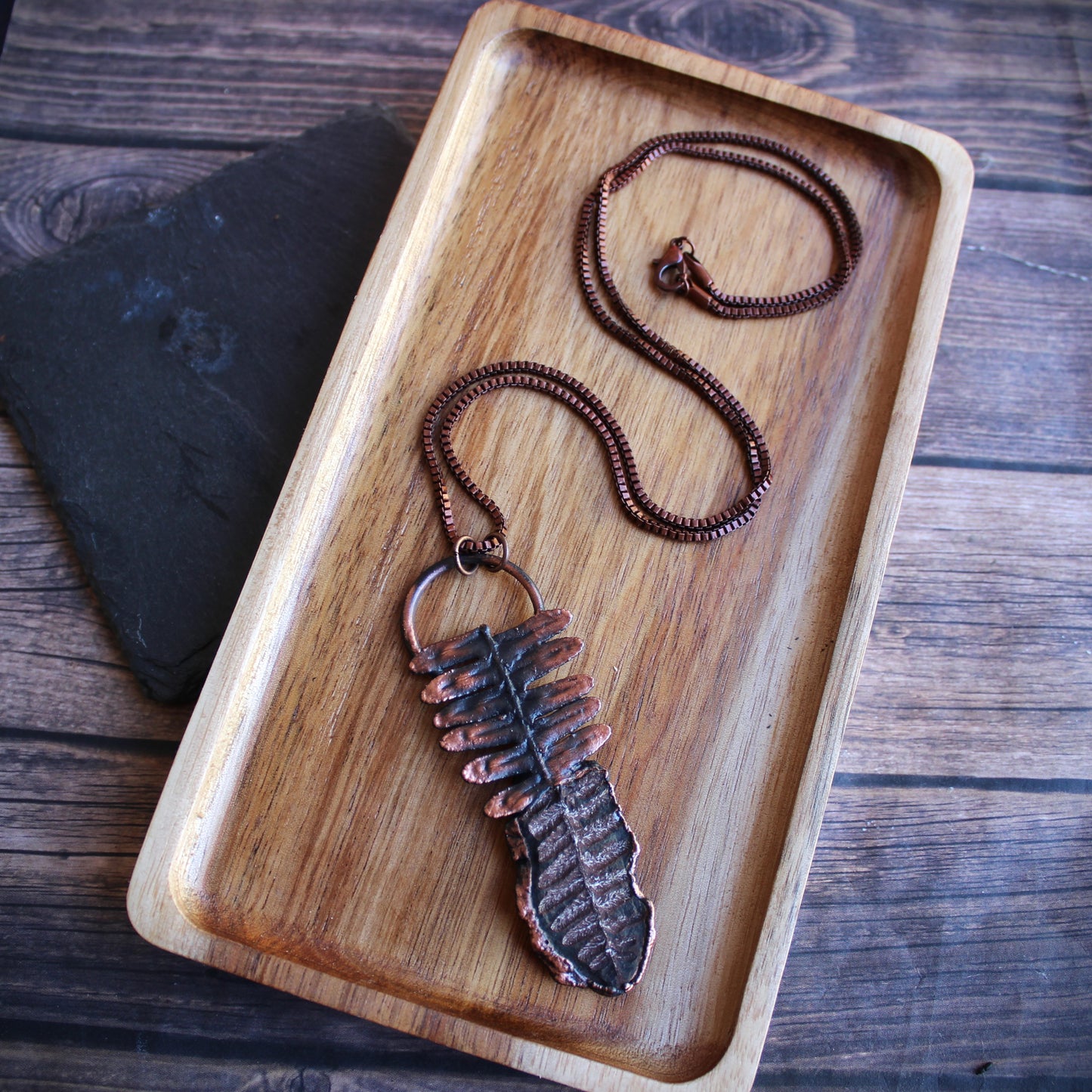 Fossilized Fern