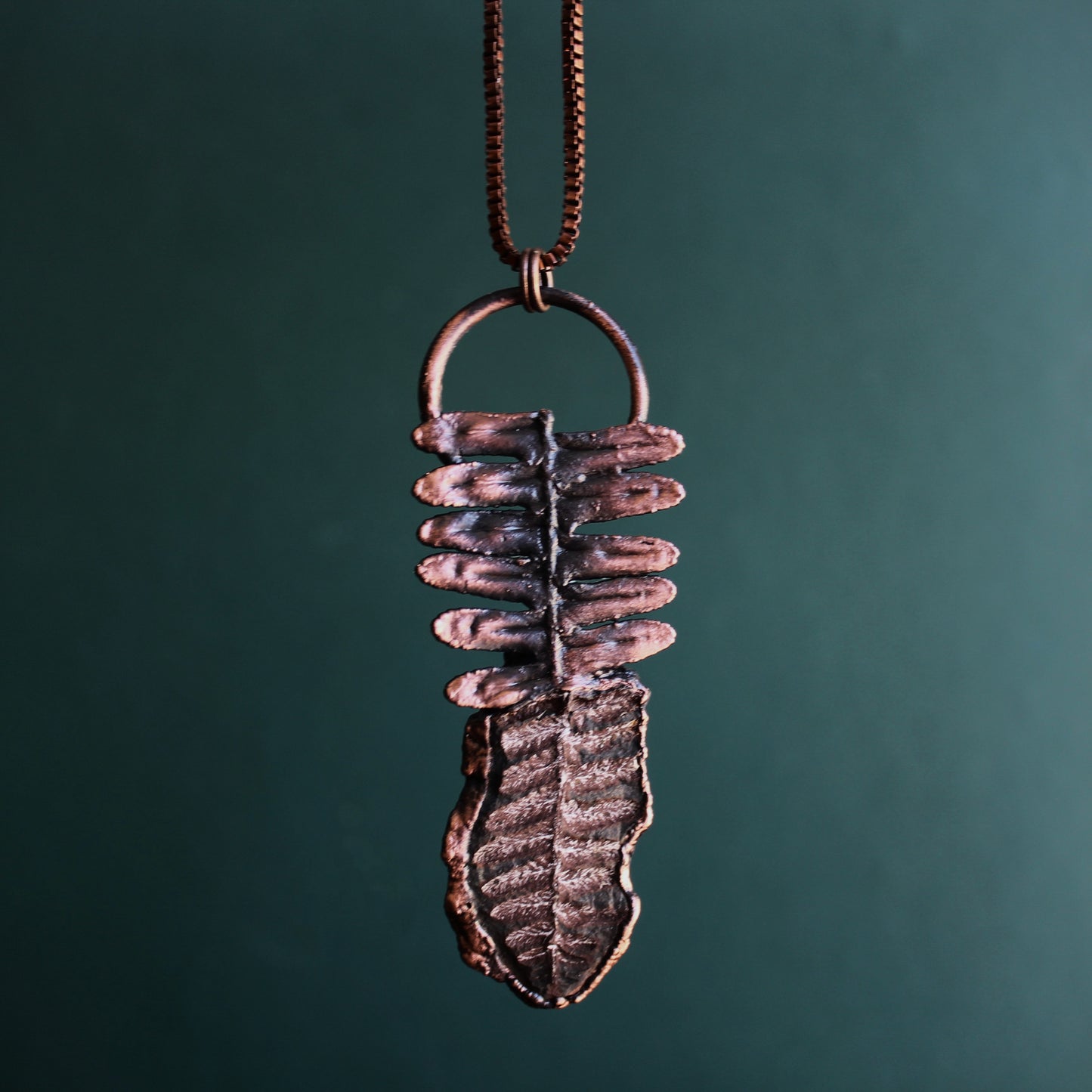 Fossilized Fern