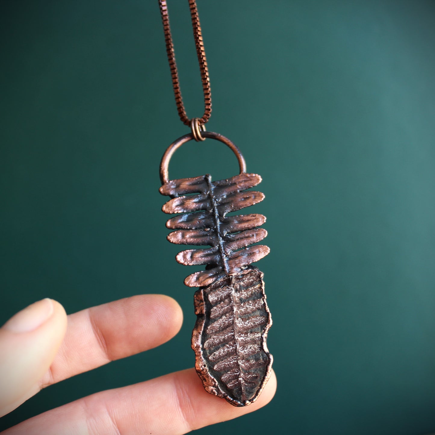 Fossilized Fern