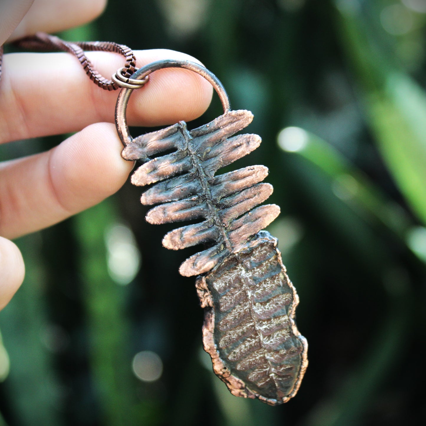 Fossilized Fern