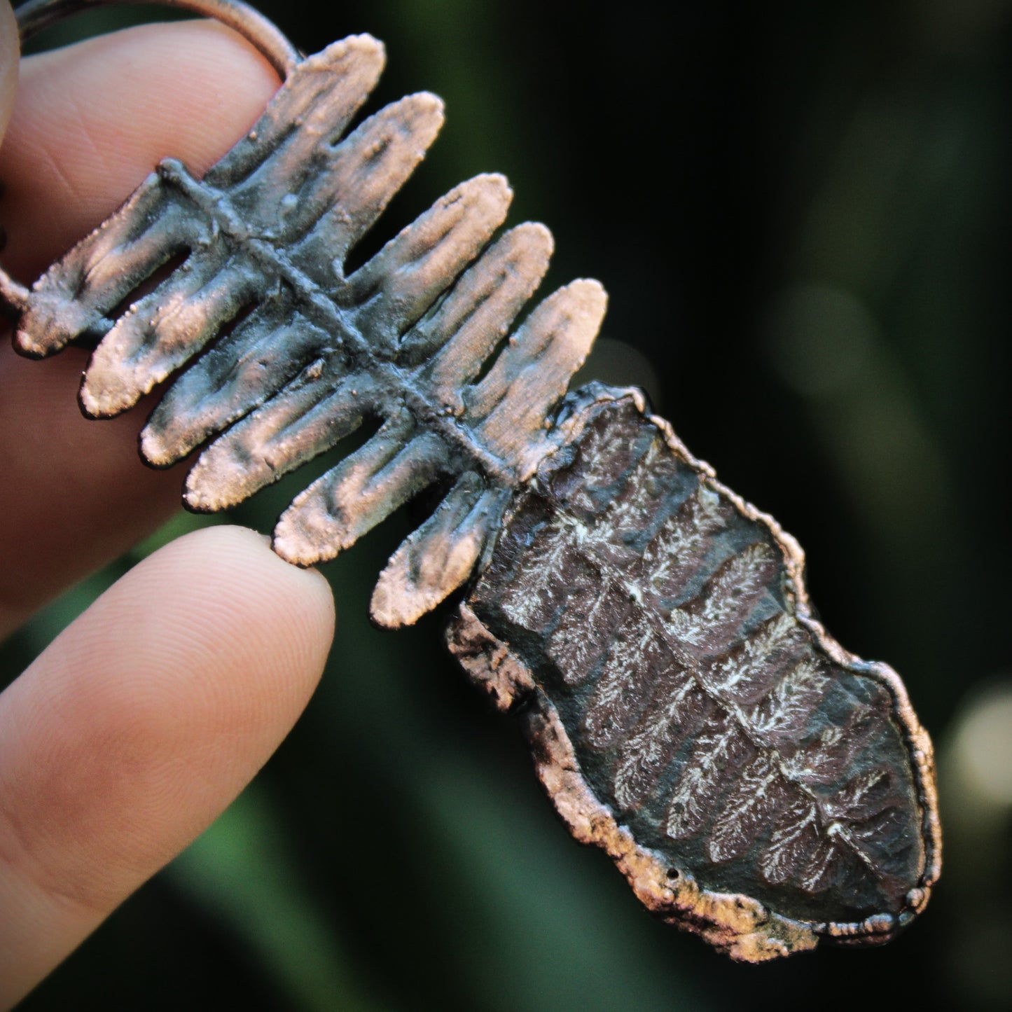 Fossilized Fern