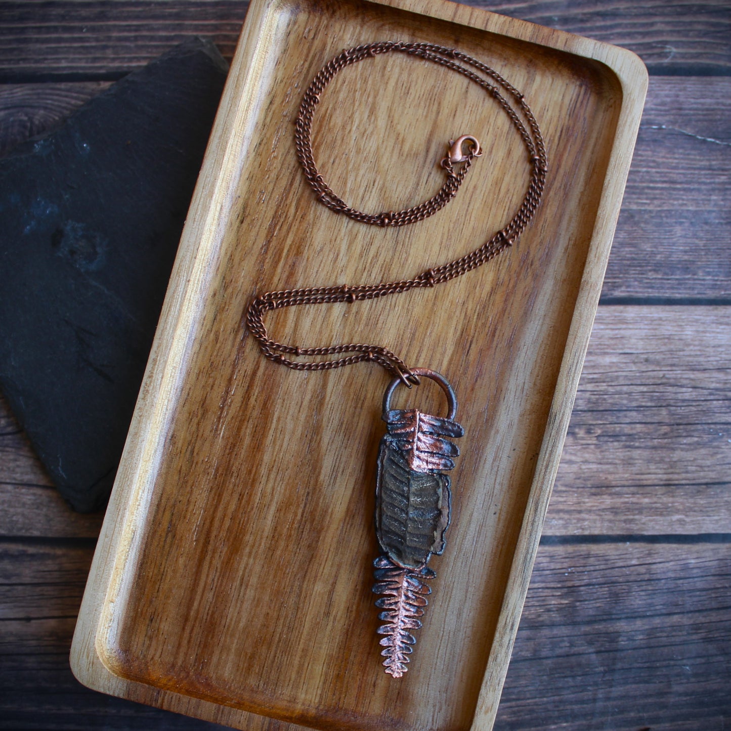 Fossilized Fern