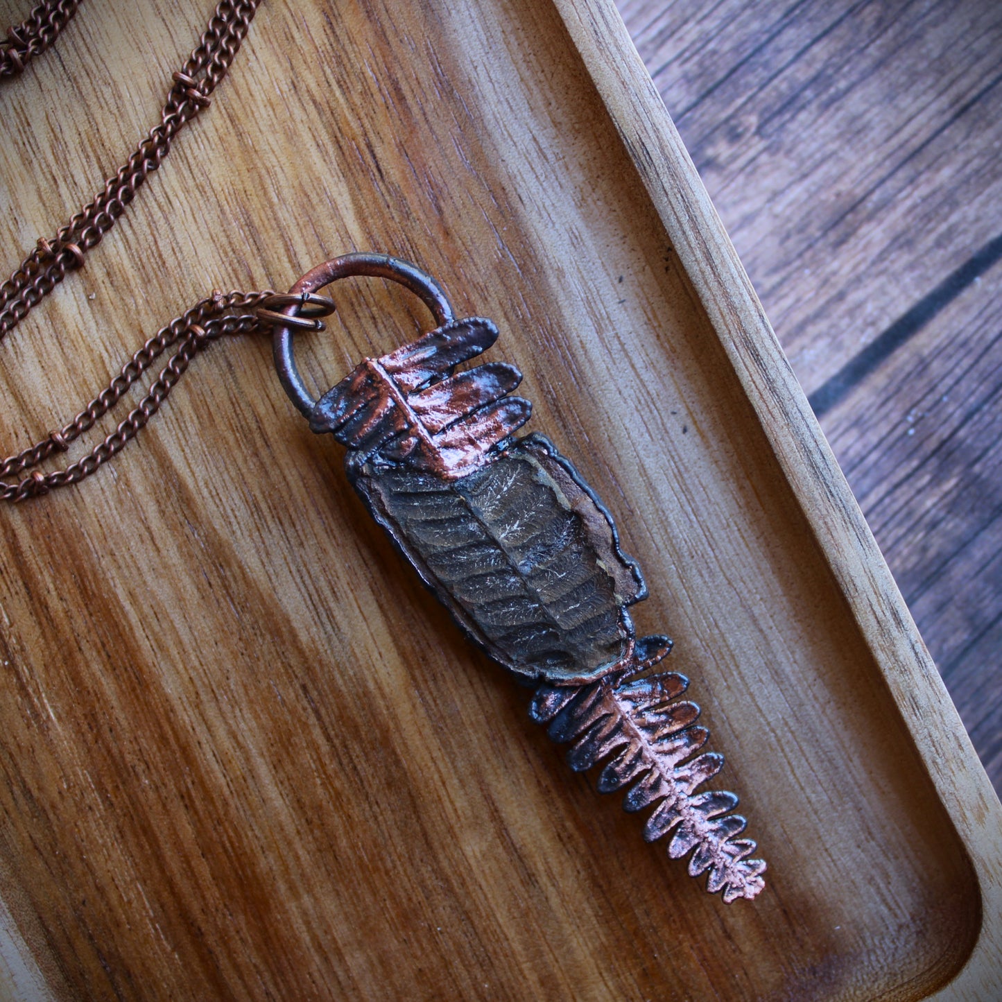 Fossilized Fern
