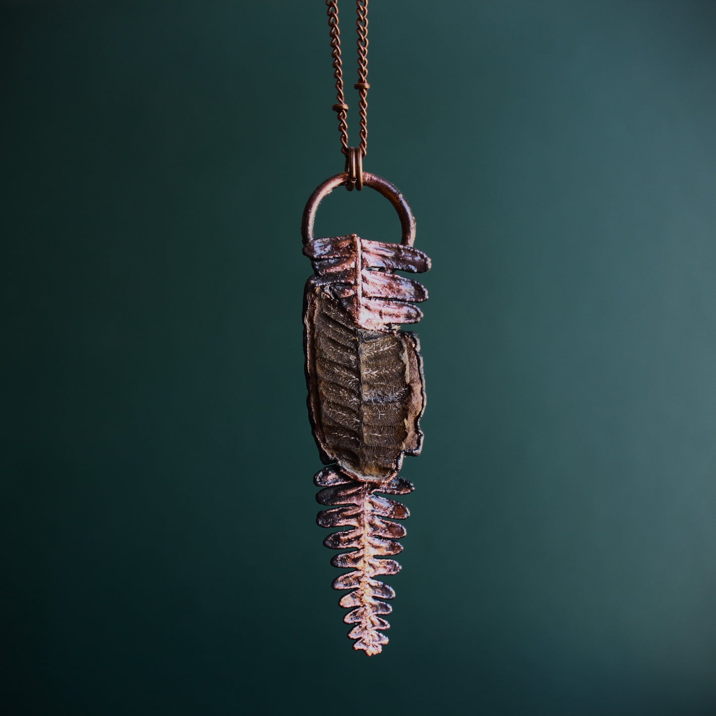 Fossilized Fern