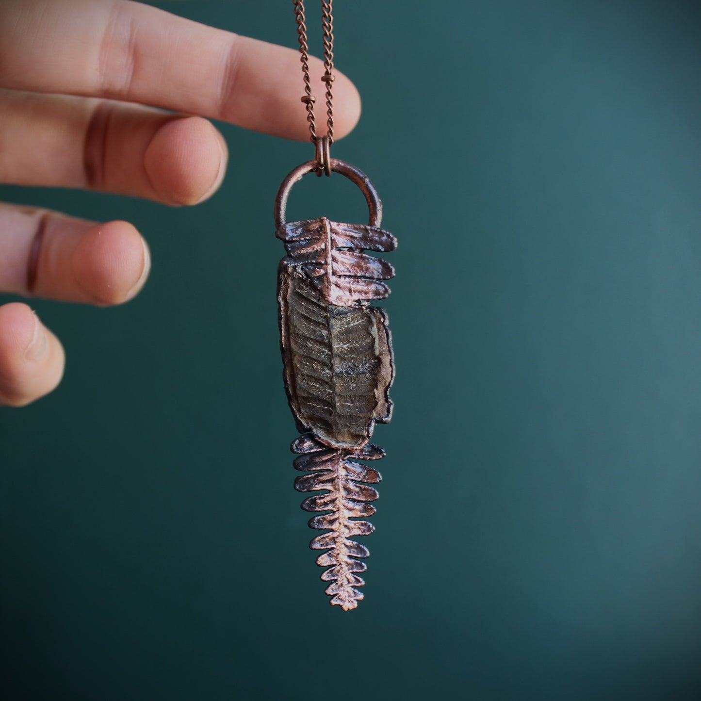 Fossilized Fern
