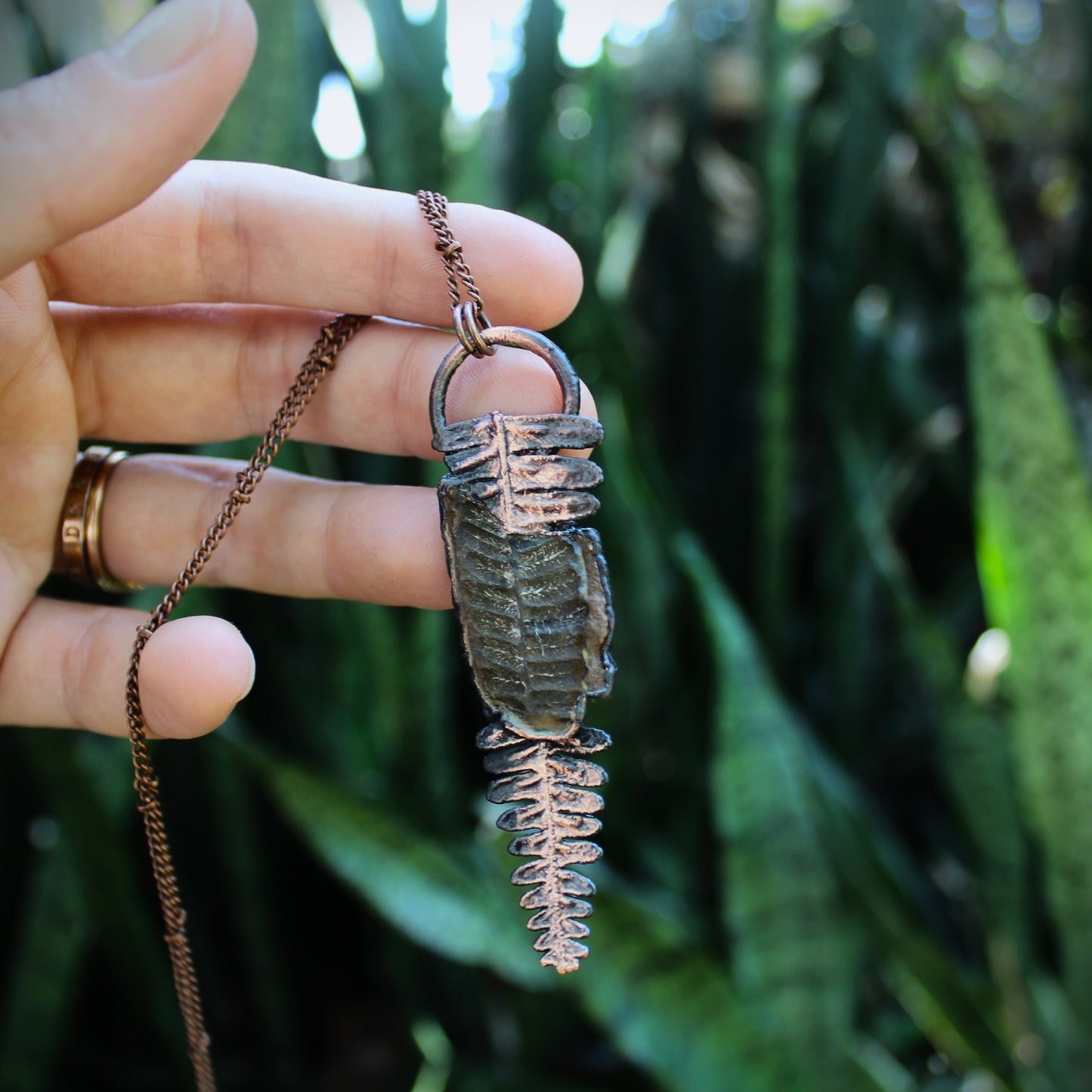 Fossilized Fern