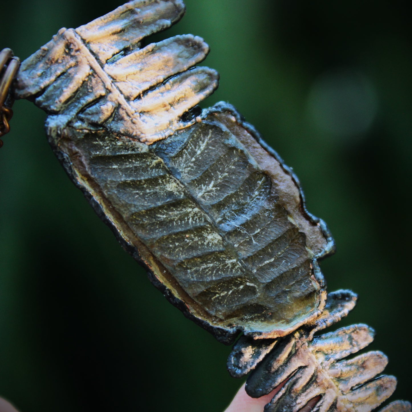 Fossilized Fern