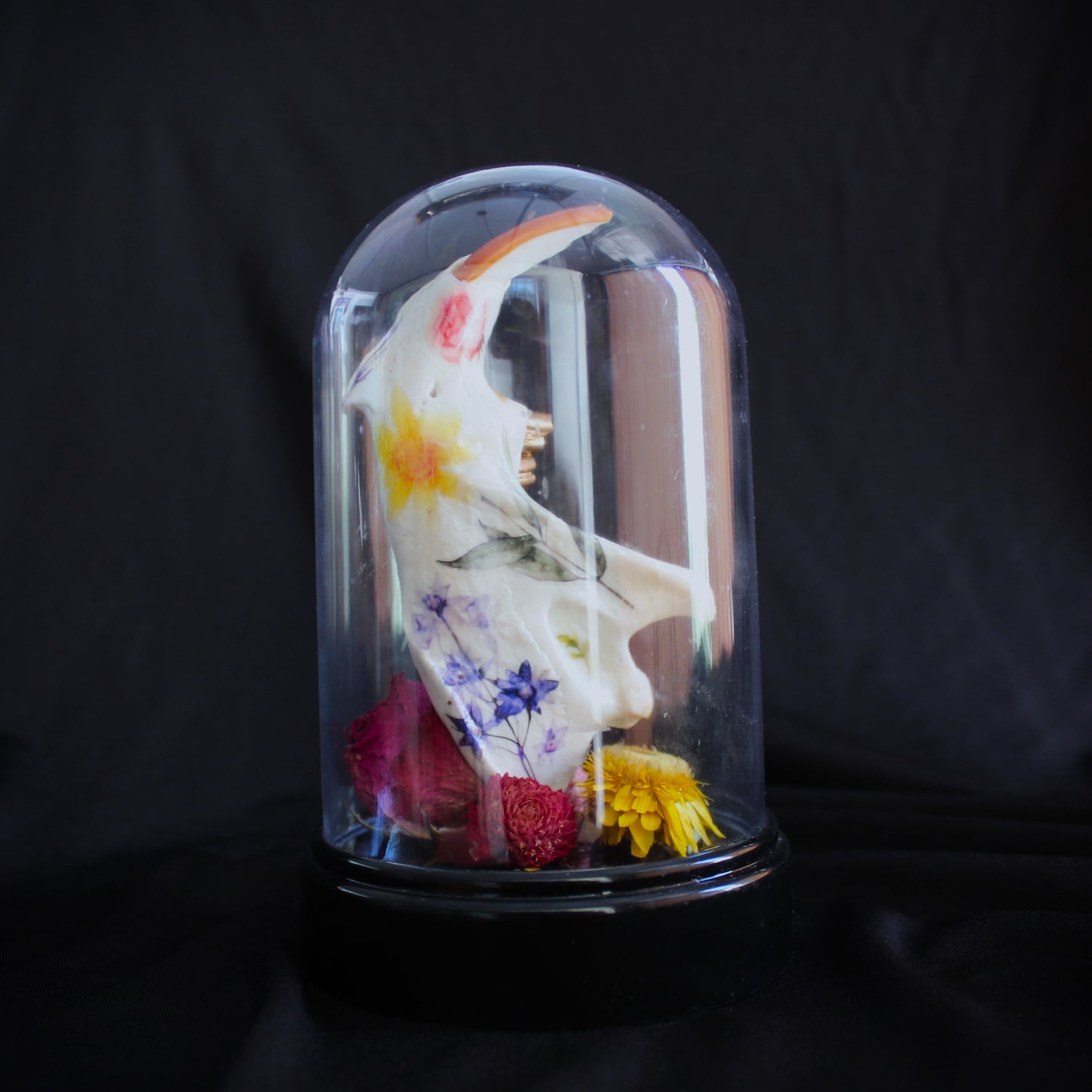 Beaver Jaw Cloche
