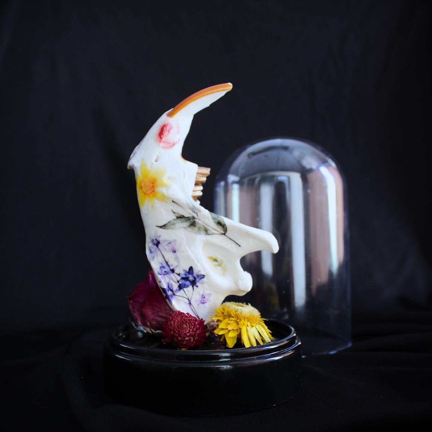 Beaver Jaw Cloche