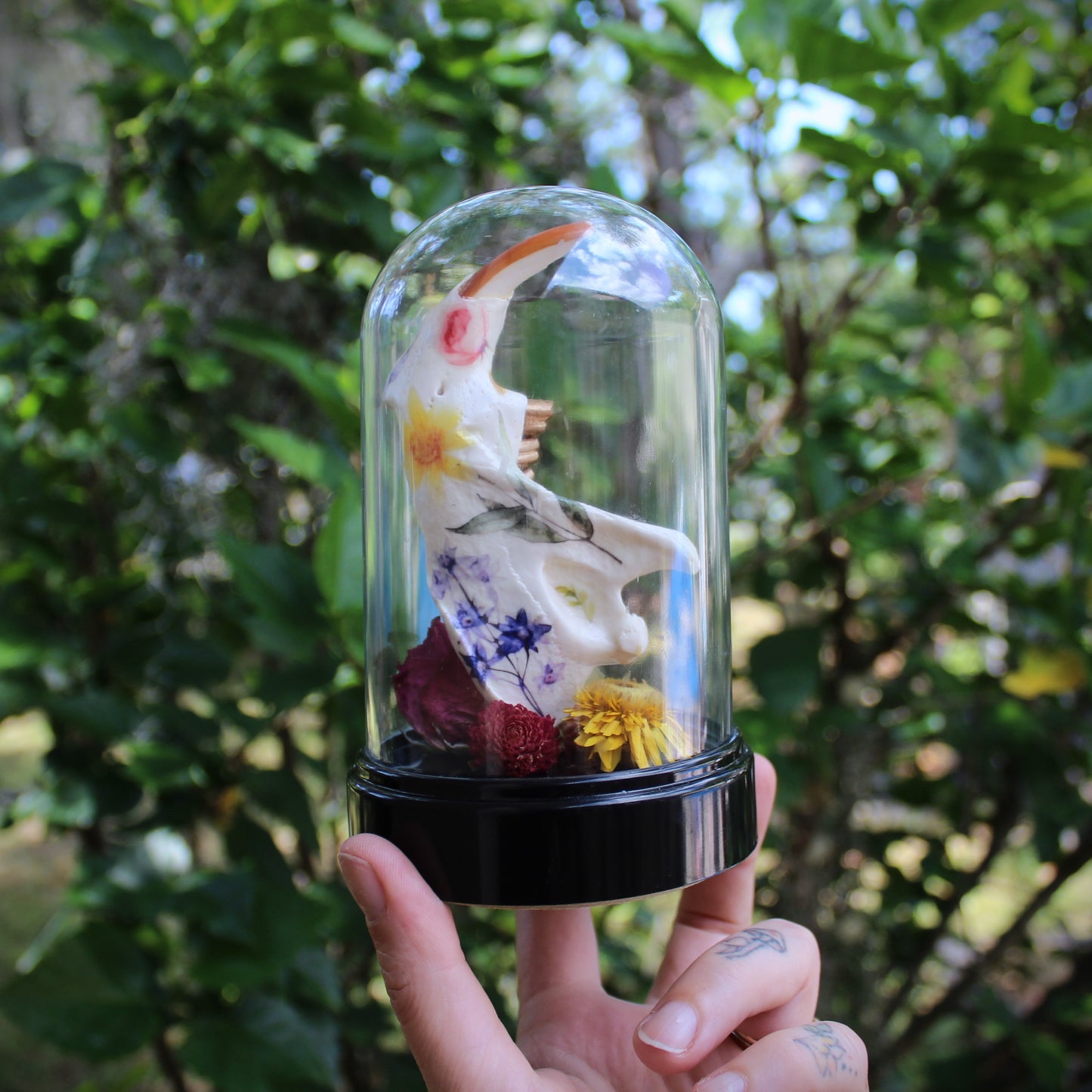 Beaver Jaw Cloche