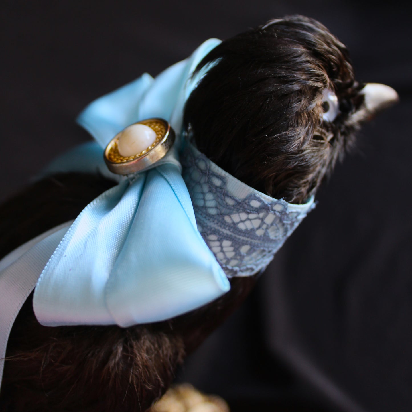 Antique Jay Taxidermy