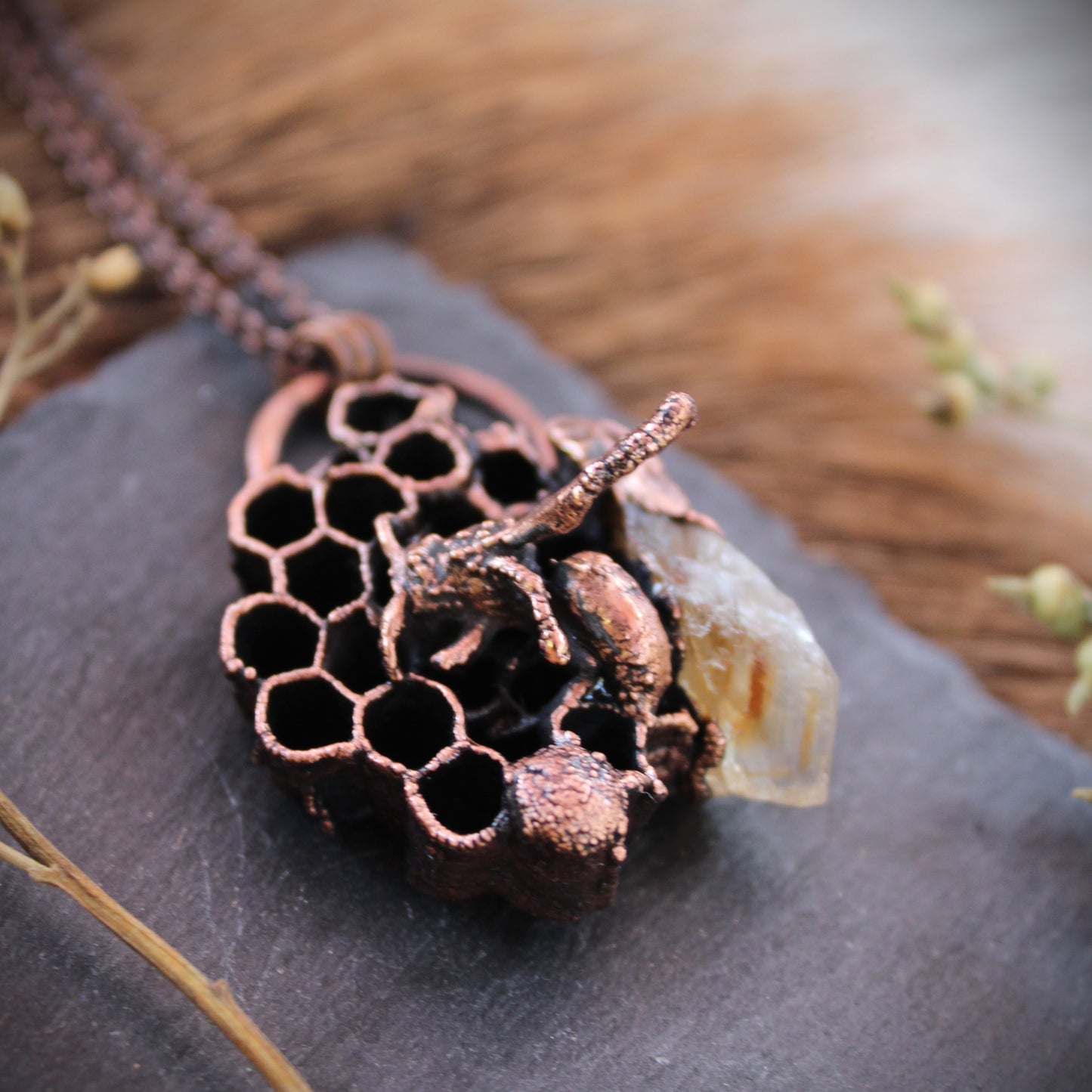 Bald-Faced Hornet