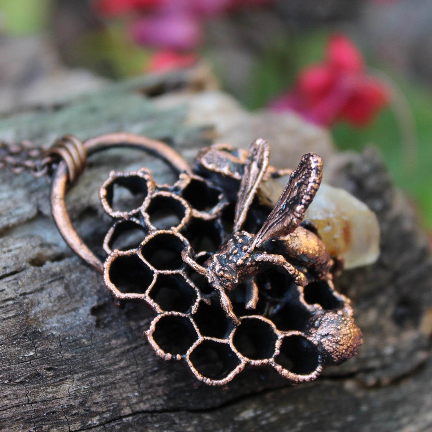 Bald-Faced Hornet