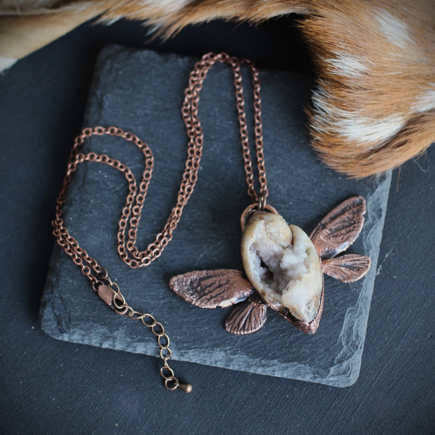 Spiralite Shell Fairy