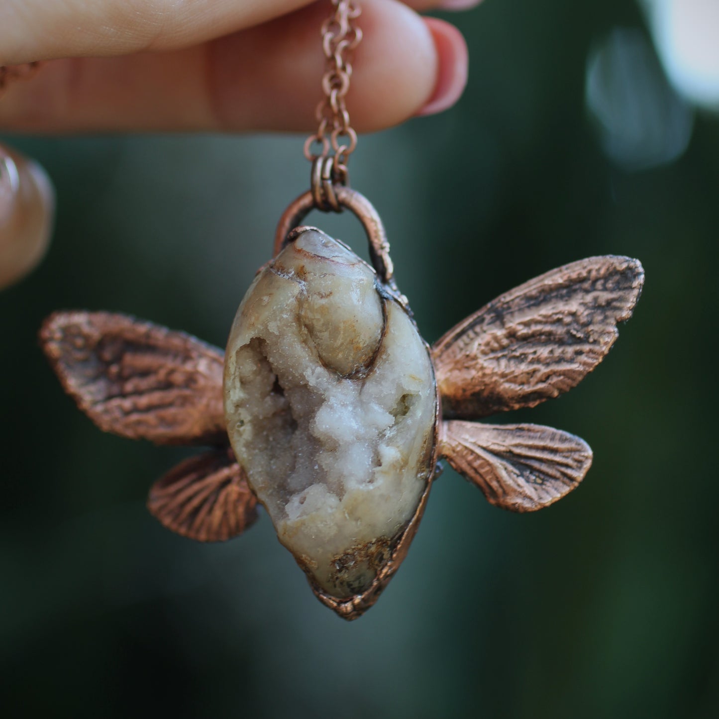 Spiralite Shell Fairy