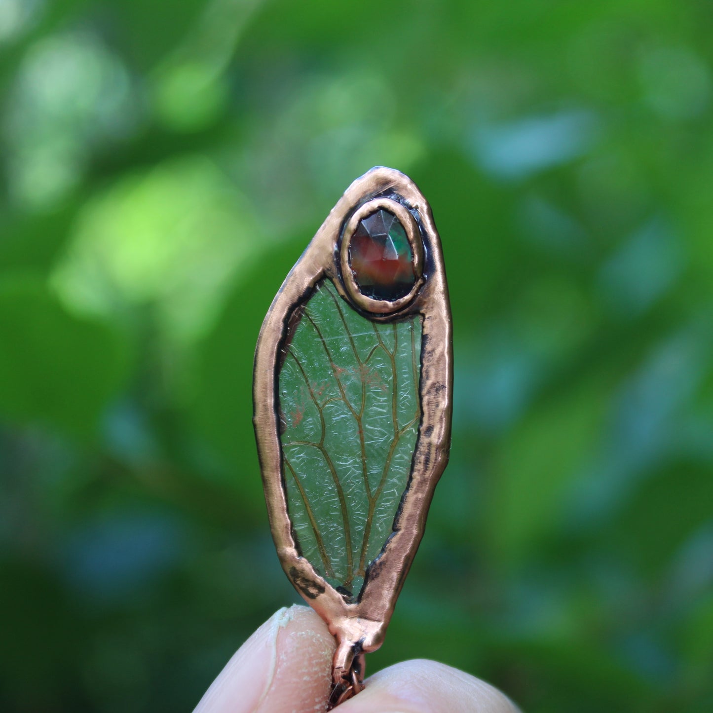 Transparent Opal Cicada Wing