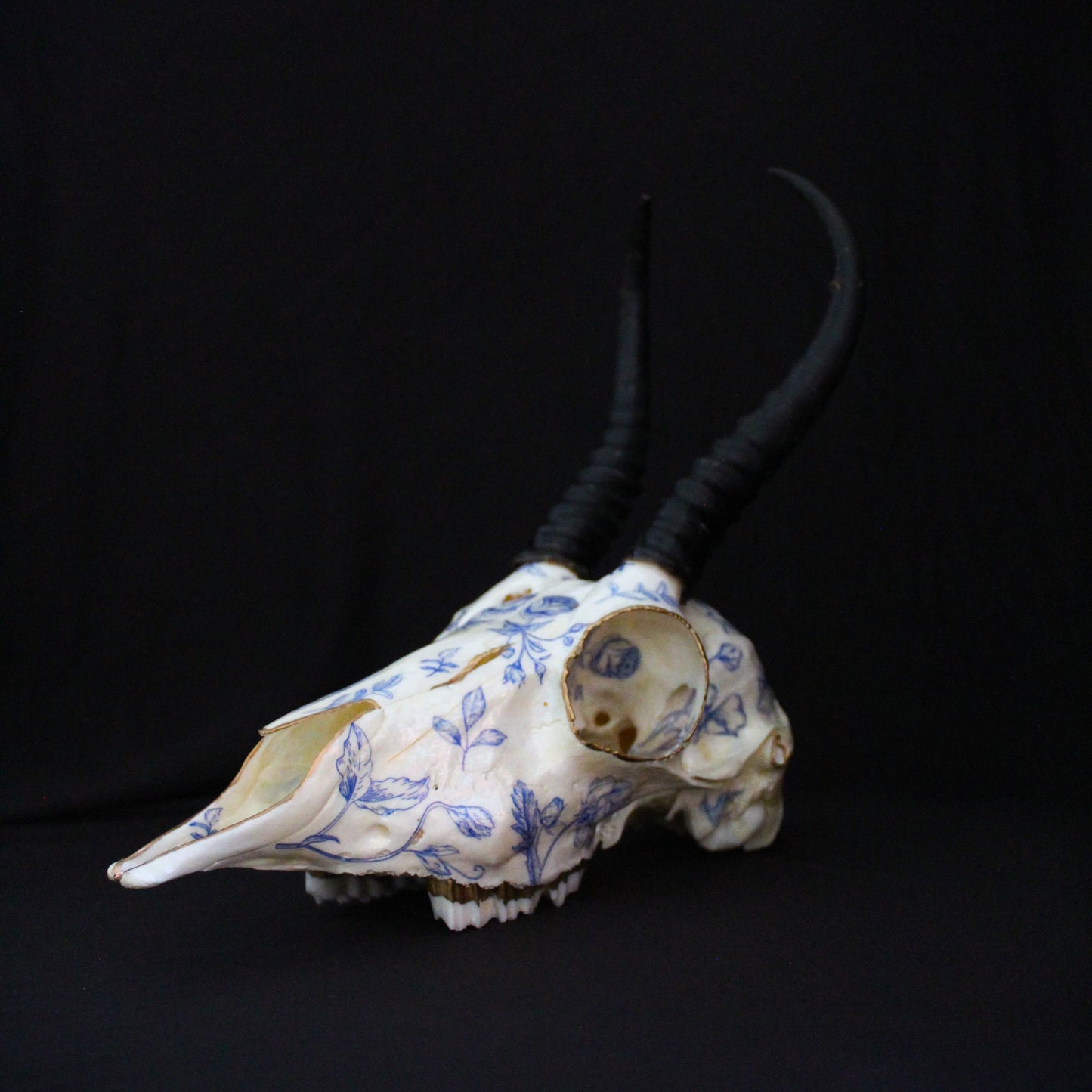 Blue Floral Springbok