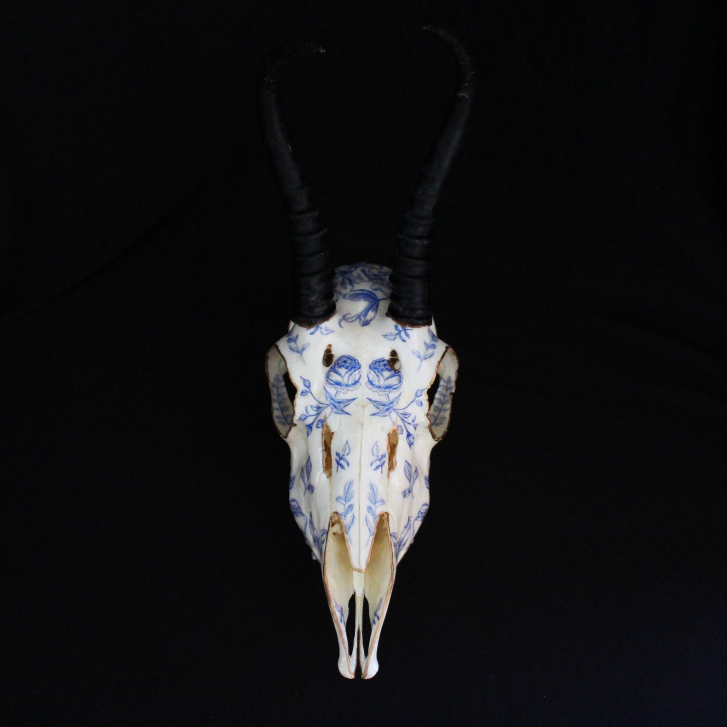 Blue Floral Springbok