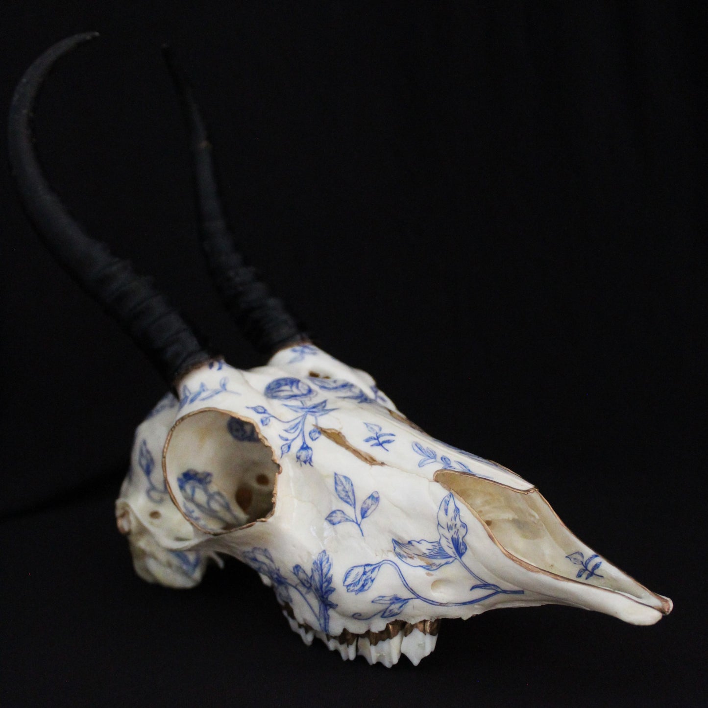 Blue Floral Springbok