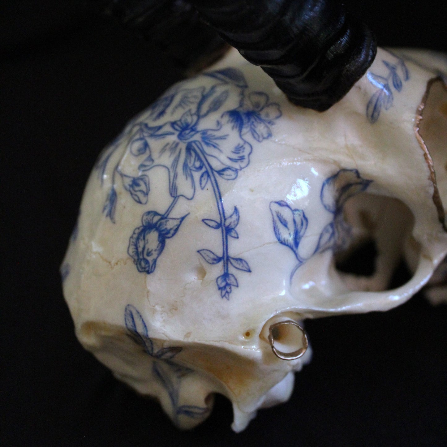 Blue Floral Springbok