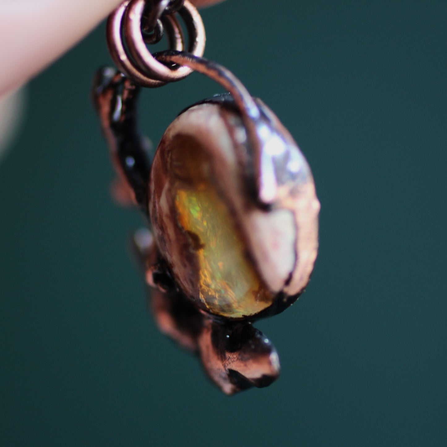 Opal Gecko Hatchling