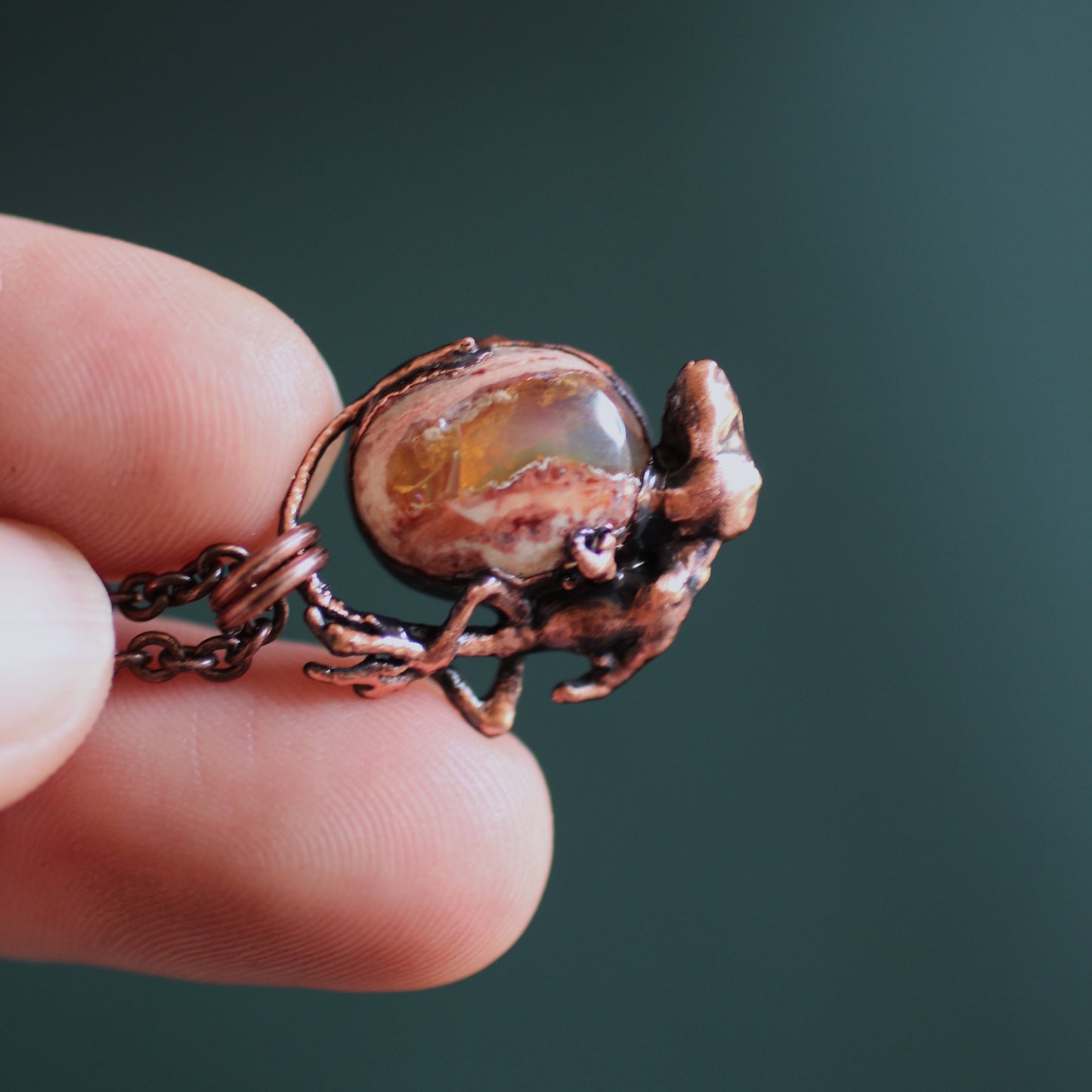 Opal Gecko Hatchling
