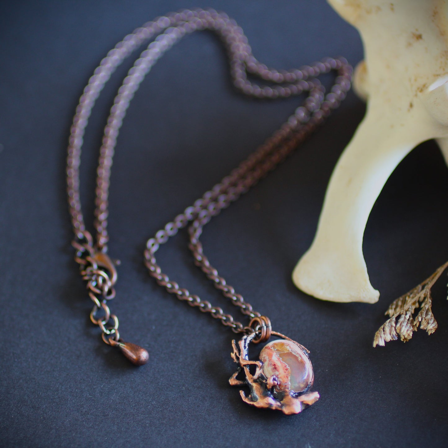 Opal Gecko Hatchling