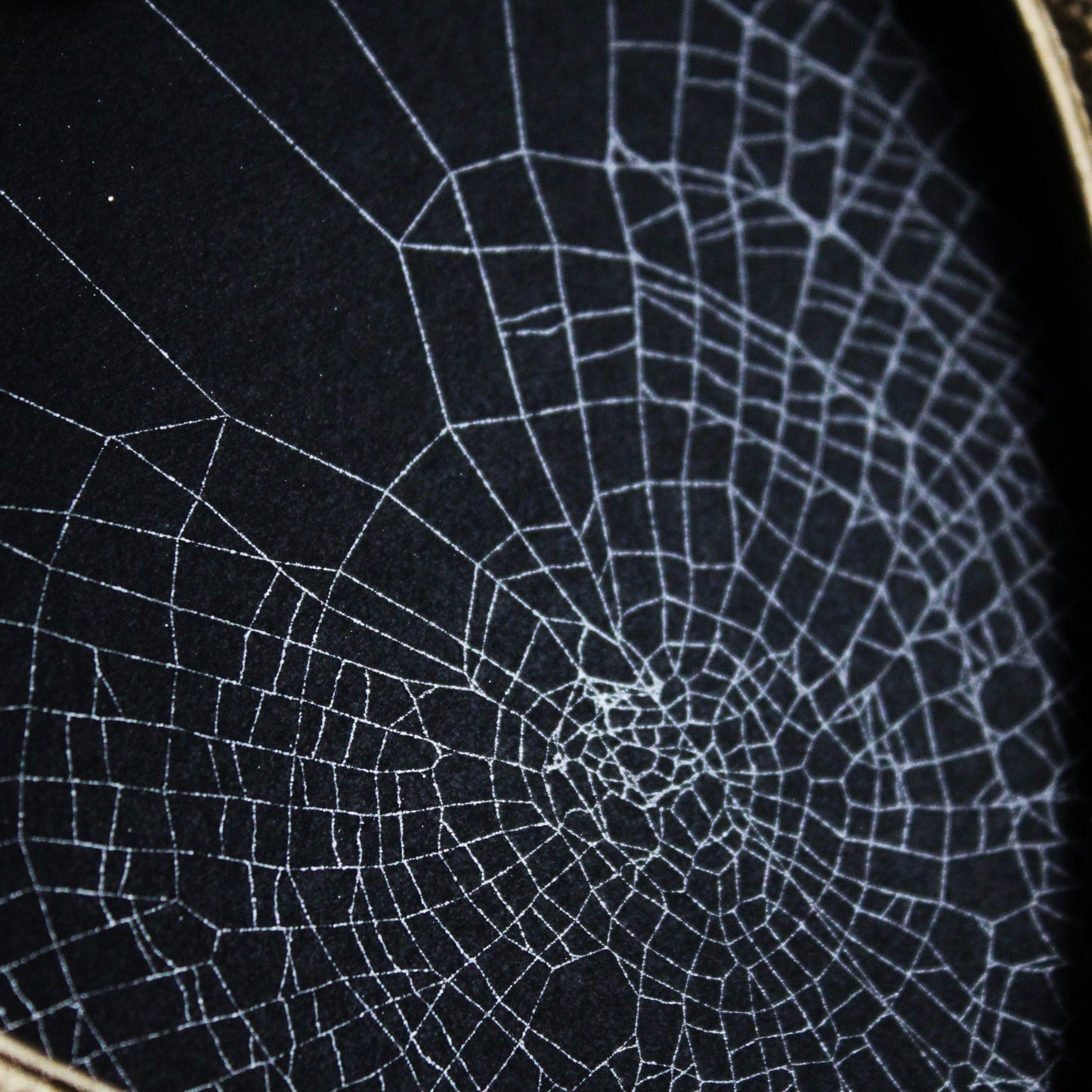 Framed Heart Spider Web