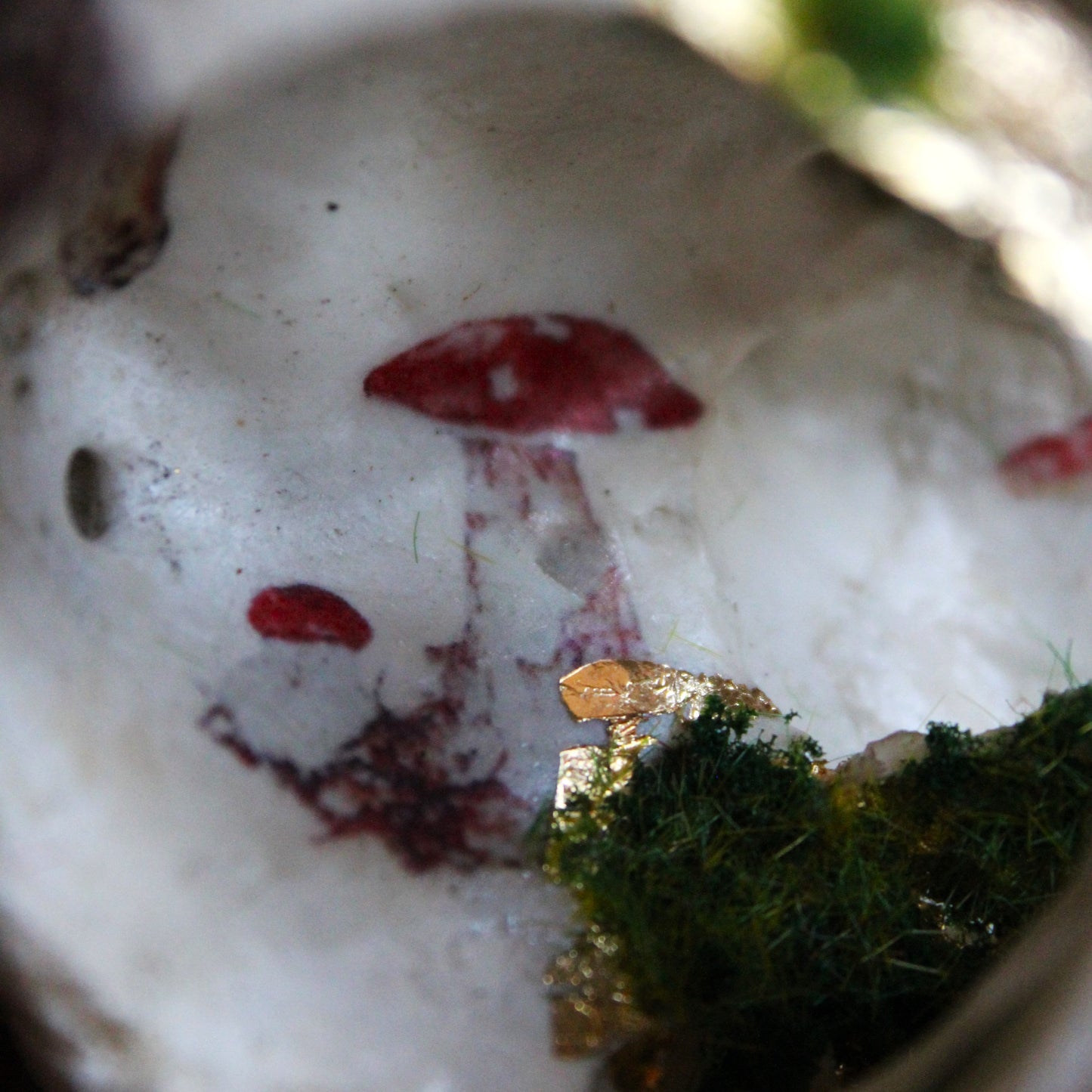 Mossy Reedbuck Skull