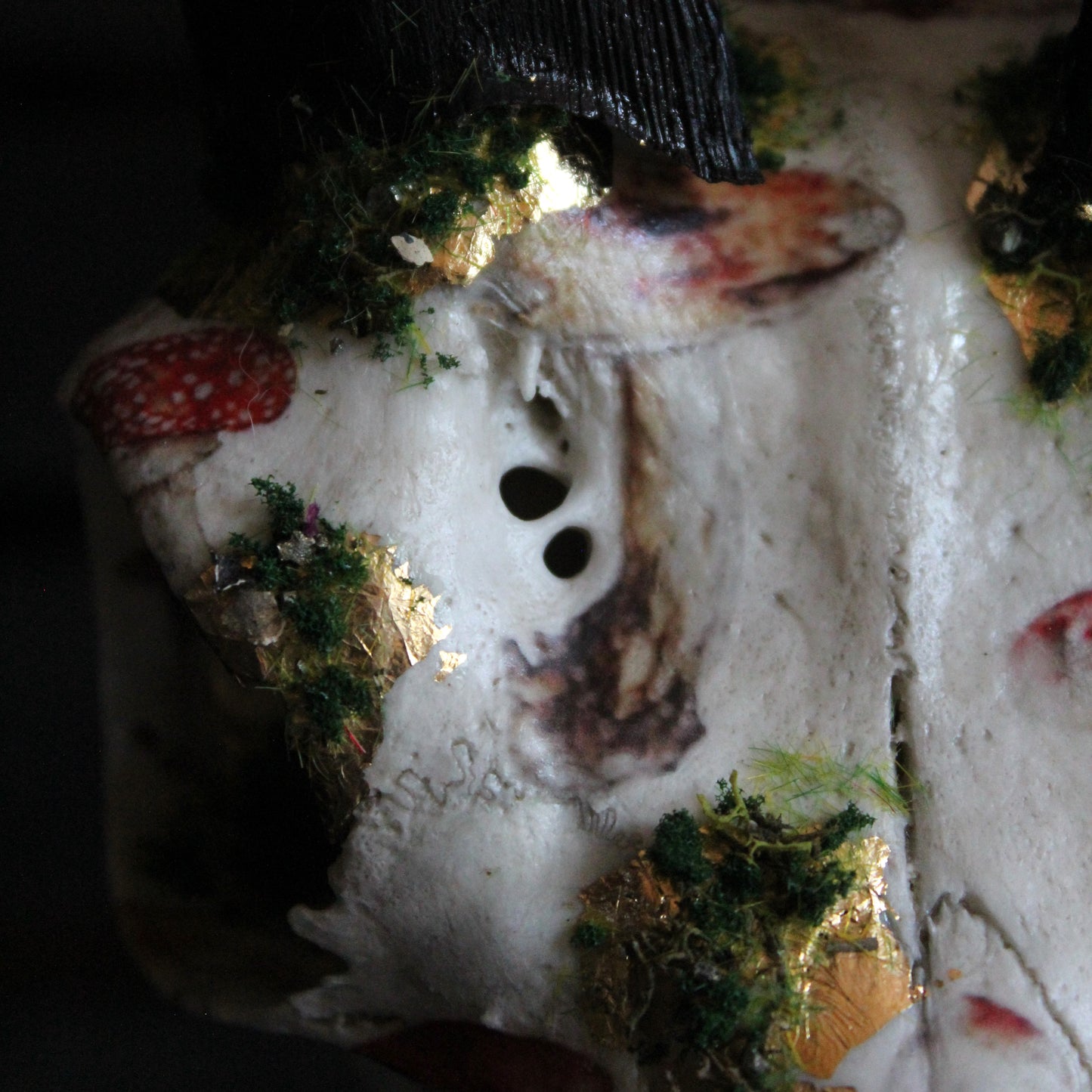 Mossy Reedbuck Skull