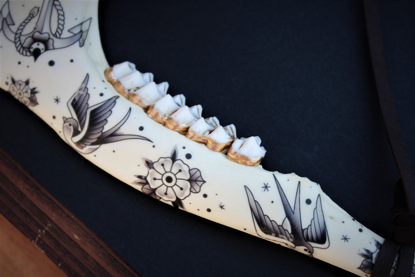 Black and Grey Deer Jawbones