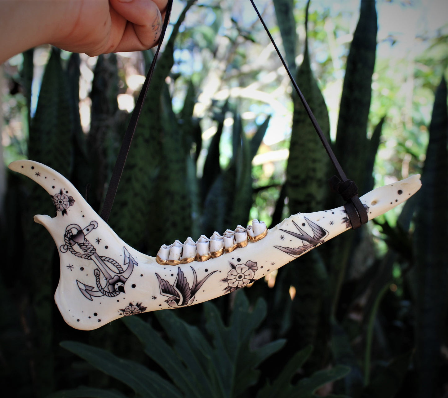 Black and Grey Deer Jawbones