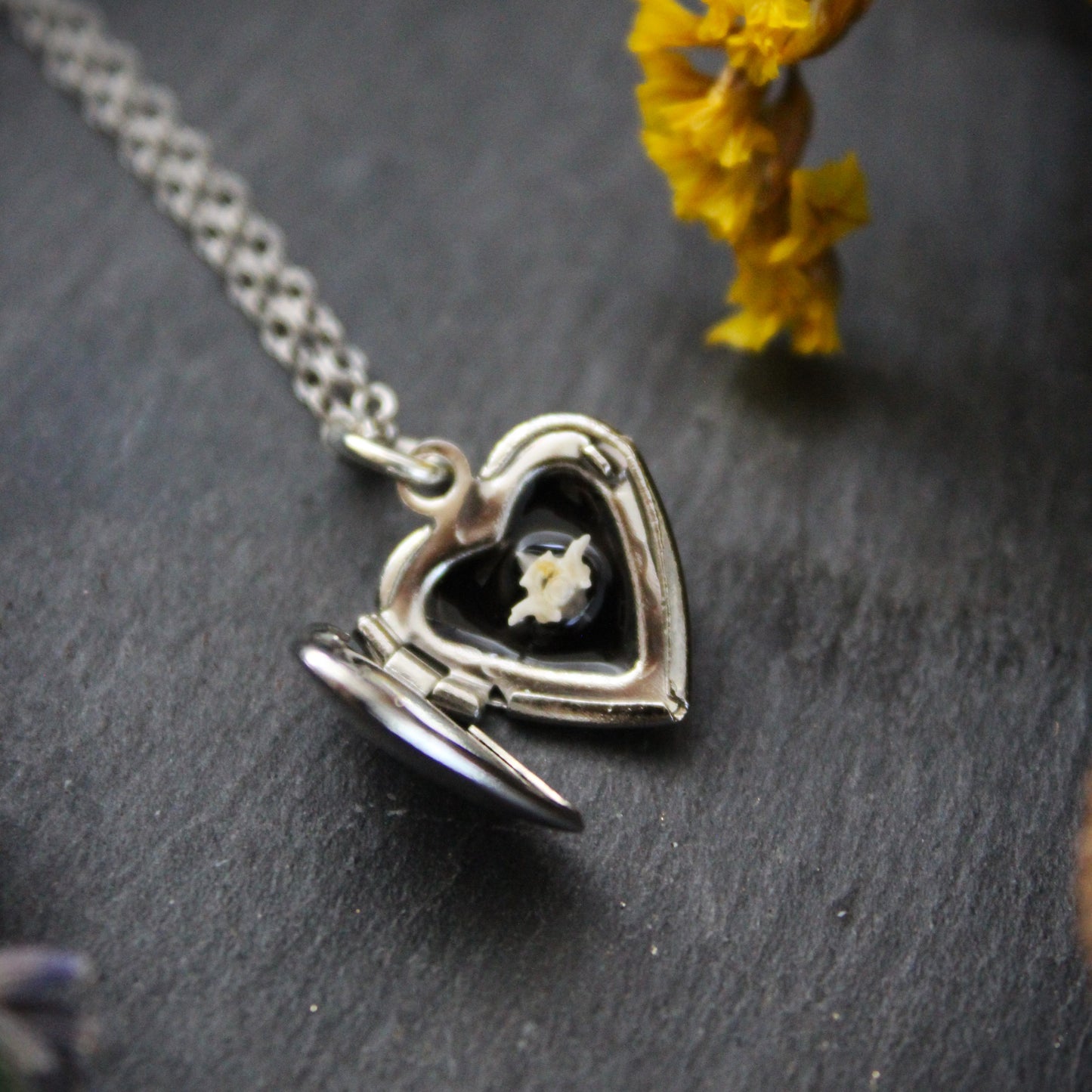 Tooth and Bone Mini Lockets