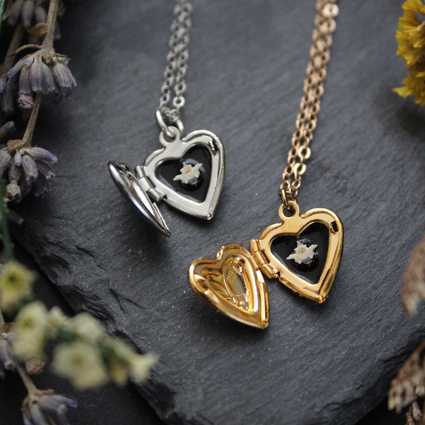 Tooth and Bone Mini Lockets