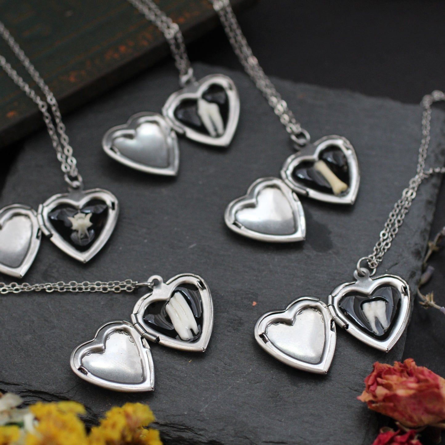 Tooth and Bone Lockets