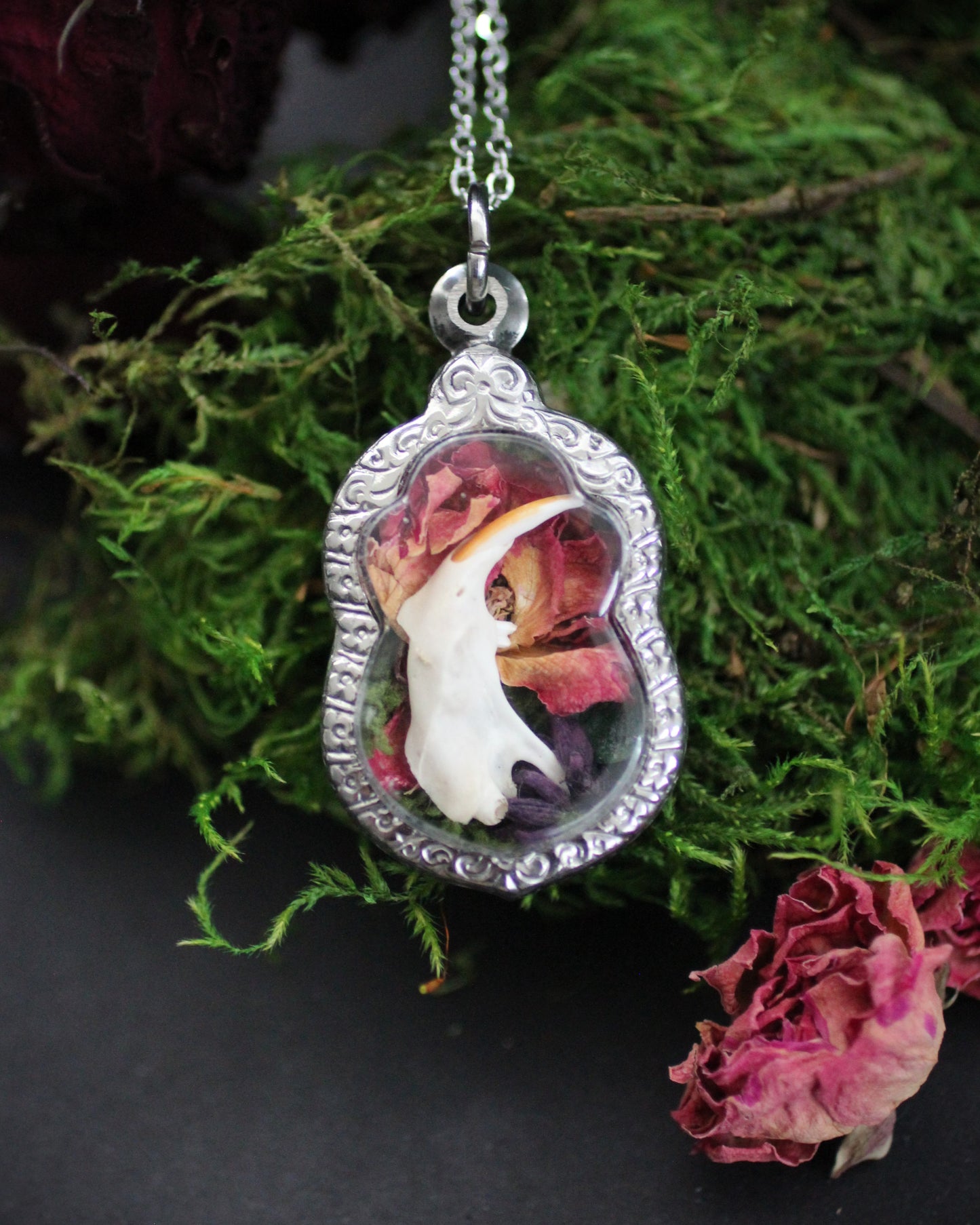 Vole Jawbone Reliquary