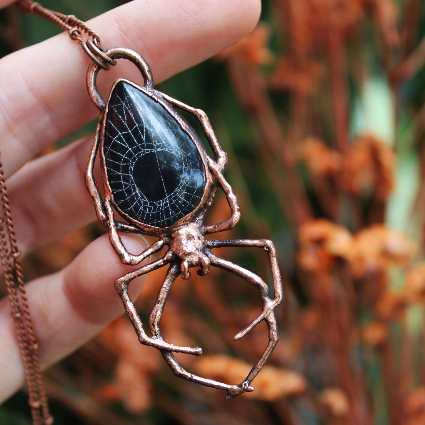 Spiderweb Orb Weaver