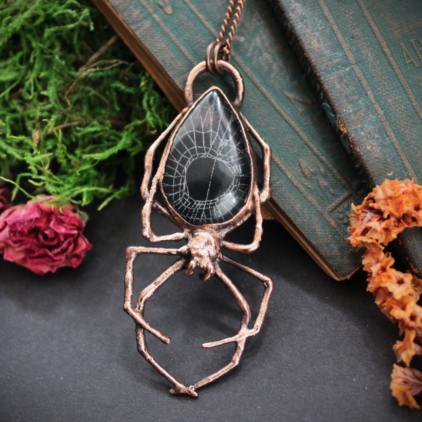 Spiderweb Orb Weaver