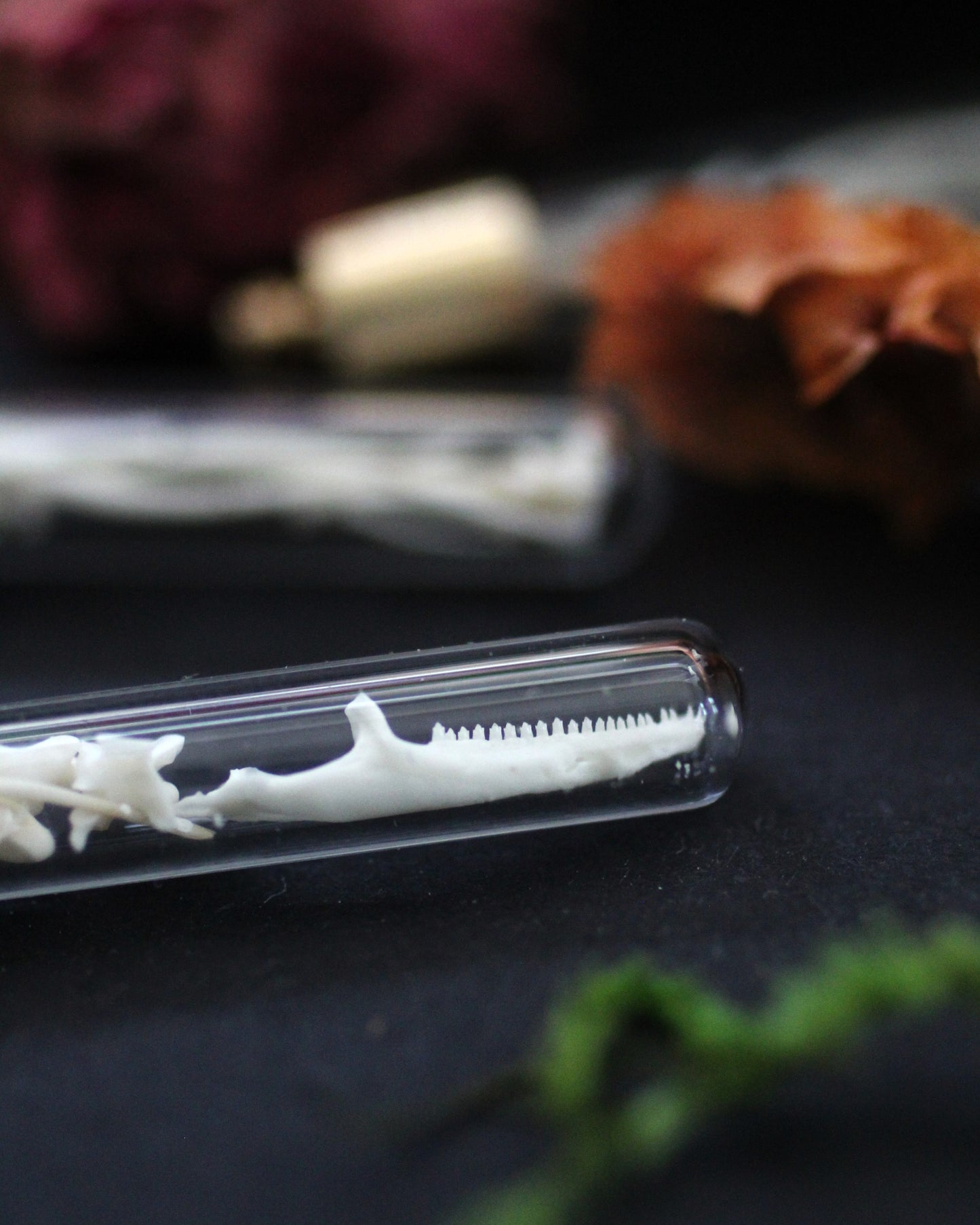 Mini Bone Vial Necklace