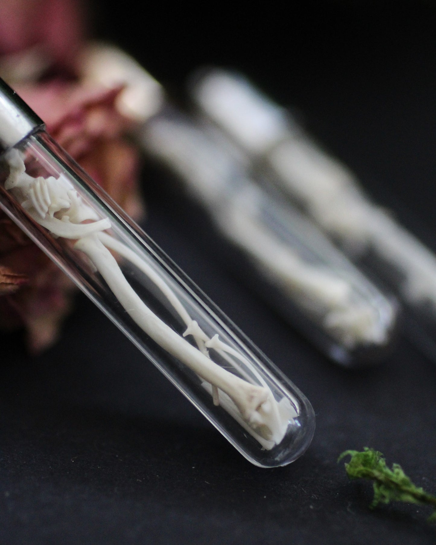 Mini Bone Vial Necklace