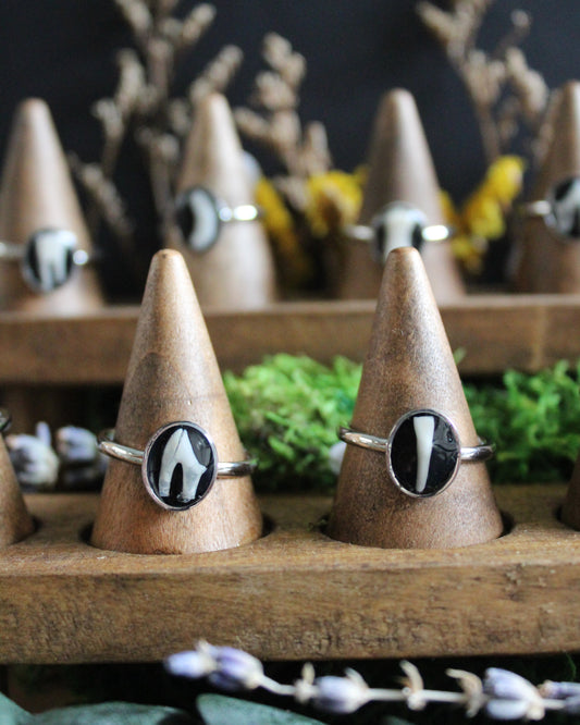 Stainless Steel Tooth Rings